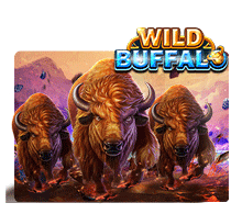 Wild Buffalo